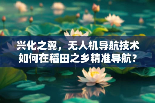 兴化之翼，无人机导航技术如何在稻田之乡精准导航？