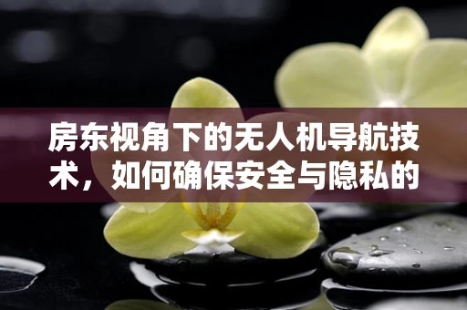 房东视角下的无人机导航技术，如何确保安全与隐私的平衡？
