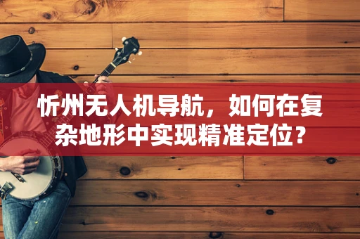 忻州无人机导航，如何在复杂地形中实现精准定位？
