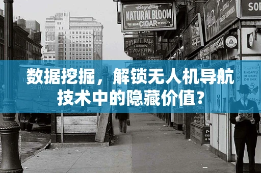 数据挖掘，解锁无人机导航技术中的隐藏价值？