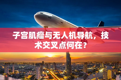 子宫肌瘤与无人机导航，技术交叉点何在？