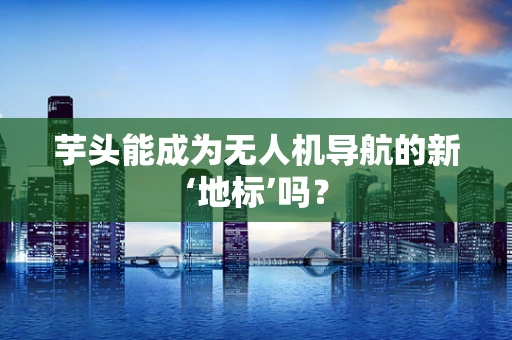 芋头能成为无人机导航的新‘地标’吗？