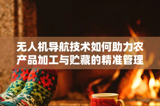 无人机导航技术如何助力农产品加工与贮藏的精准管理？