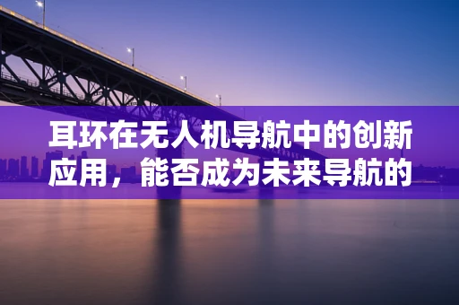 耳环在无人机导航中的创新应用，能否成为未来导航的隐形信标？