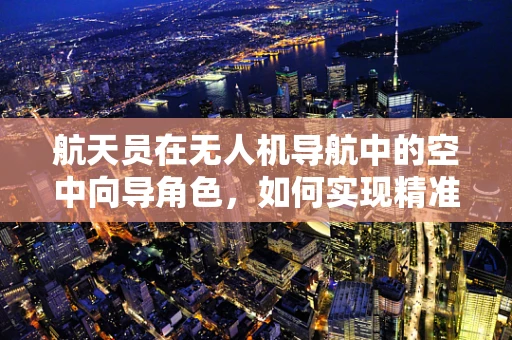 航天员在无人机导航中的空中向导角色，如何实现精准协同？