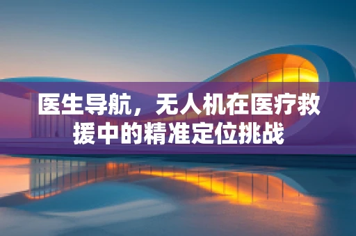 医生导航，无人机在医疗救援中的精准定位挑战