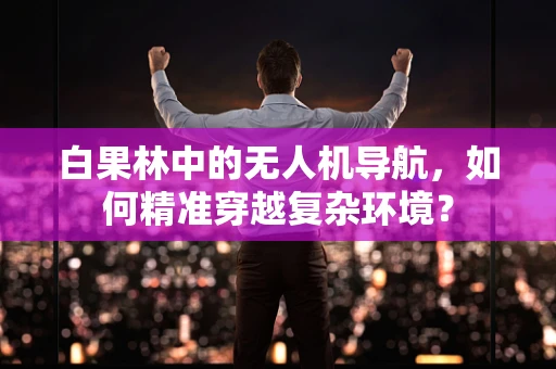 白果林中的无人机导航，如何精准穿越复杂环境？