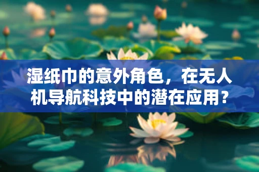 湿纸巾的意外角色，在无人机导航科技中的潜在应用？