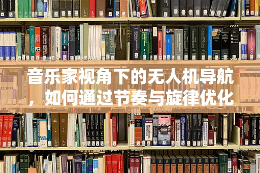 音乐家视角下的无人机导航，如何通过节奏与旋律优化飞行路径？