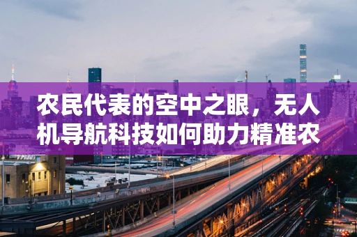 农民代表的空中之眼，无人机导航科技如何助力精准农业？