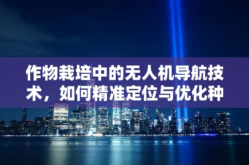 作物栽培中的无人机导航技术，如何精准定位与优化种植？