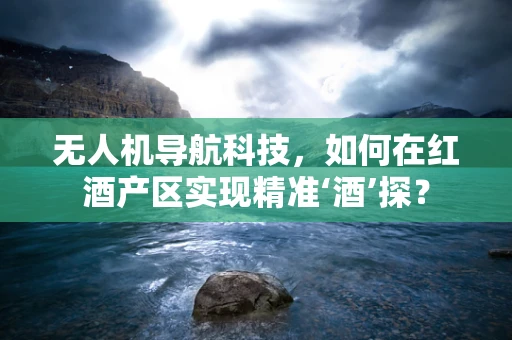 无人机导航科技，如何在红酒产区实现精准‘酒’探？