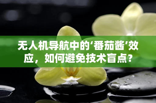 无人机导航中的‘番茄酱’效应，如何避免技术盲点？