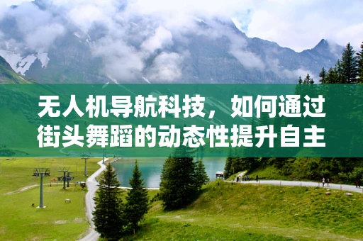 无人机导航科技，如何通过街头舞蹈的动态性提升自主飞行能力？