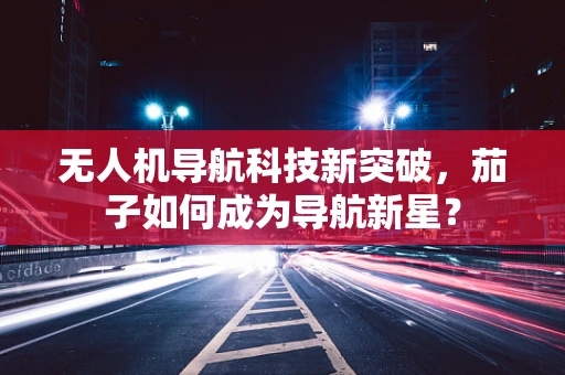 无人机导航科技新突破，茄子如何成为导航新星？