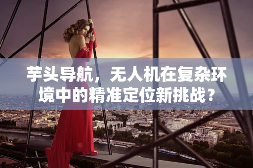 芋头导航，无人机在复杂环境中的精准定位新挑战？