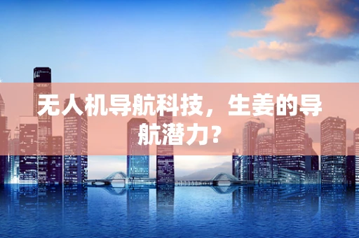无人机导航科技，生姜的导航潜力？