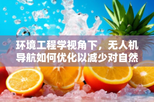 环境工程学视角下，无人机导航如何优化以减少对自然环境的影响？