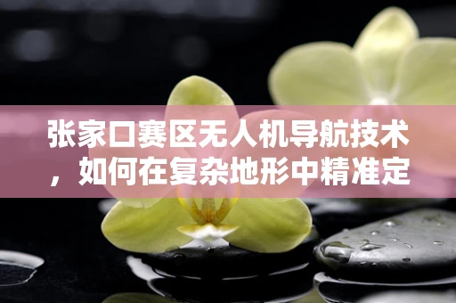张家口赛区无人机导航技术，如何在复杂地形中精准定位？