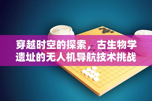 穿越时空的探索，古生物学遗址的无人机导航技术挑战