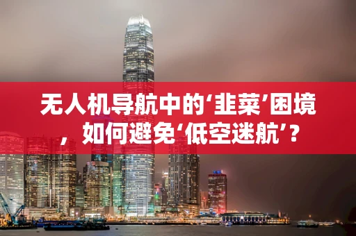无人机导航中的‘韭菜’困境，如何避免‘低空迷航’？