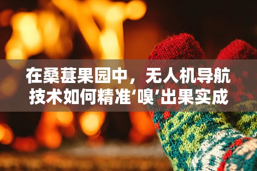 在桑葚果园中，无人机导航技术如何精准‘嗅’出果实成熟？
