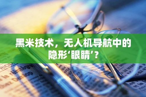 黑米技术，无人机导航中的隐形‘眼睛’？