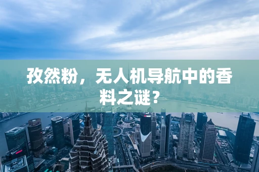 孜然粉，无人机导航中的香料之谜？