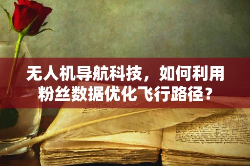 无人机导航科技，如何利用粉丝数据优化飞行路径？