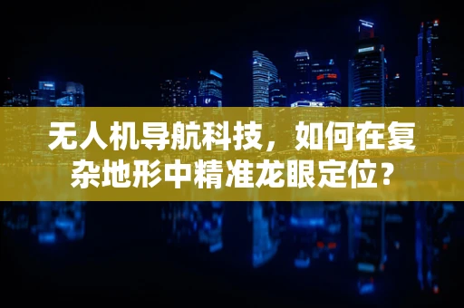 无人机导航科技，如何在复杂地形中精准龙眼定位？