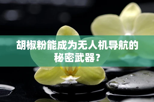 胡椒粉能成为无人机导航的秘密武器？