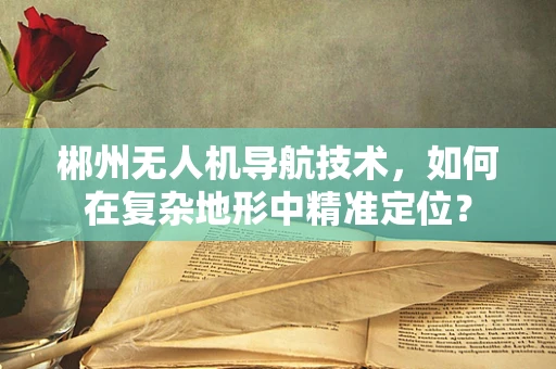 郴州无人机导航技术，如何在复杂地形中精准定位？