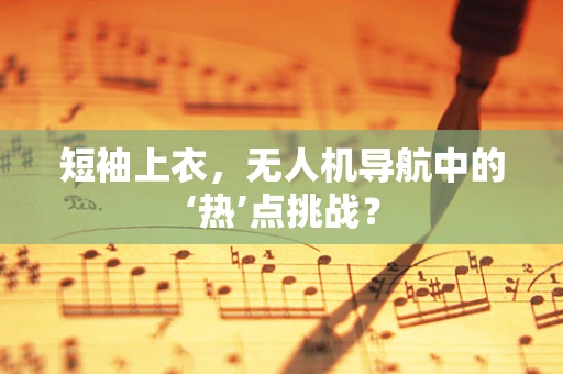 短袖上衣，无人机导航中的‘热’点挑战？