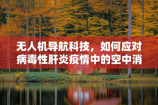 无人机导航科技，如何应对病毒性肝炎疫情中的空中消毒挑战？