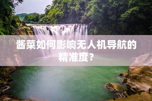 酱菜如何影响无人机导航的精准度？