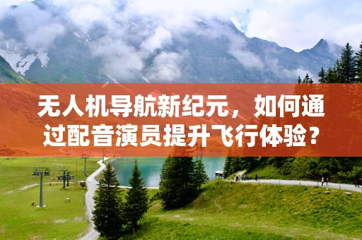 无人机导航新纪元，如何通过配音演员提升飞行体验？