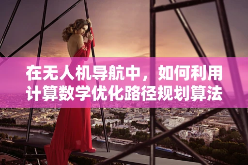 在无人机导航中，如何利用计算数学优化路径规划算法的效率？