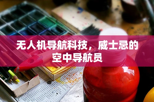 无人机导航科技，威士忌的空中导航员