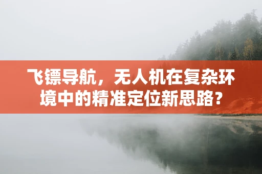飞镖导航，无人机在复杂环境中的精准定位新思路？
