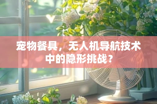 宠物餐具，无人机导航技术中的隐形挑战？