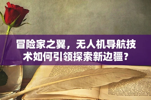 冒险家之翼，无人机导航技术如何引领探索新边疆？