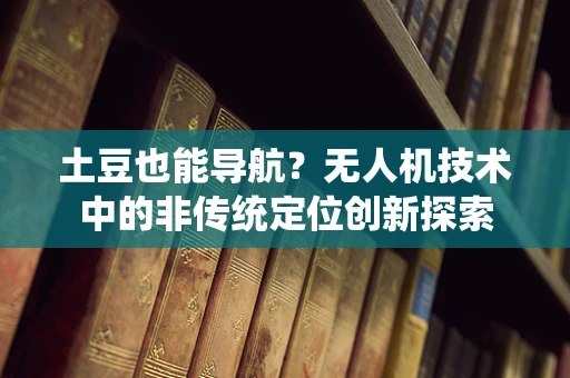 土豆也能导航？无人机技术中的非传统定位创新探索