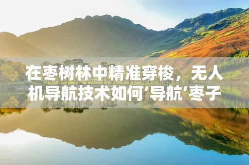 在枣树林中精准穿梭，无人机导航技术如何‘导航’枣子采摘？
