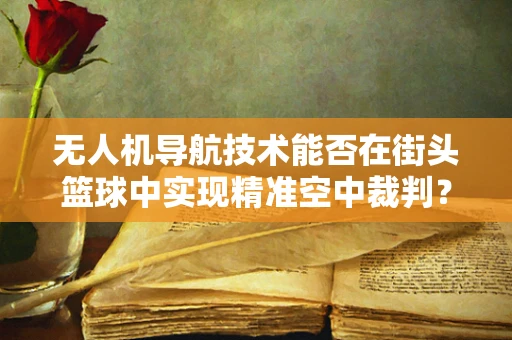无人机导航技术能否在街头篮球中实现精准空中裁判？