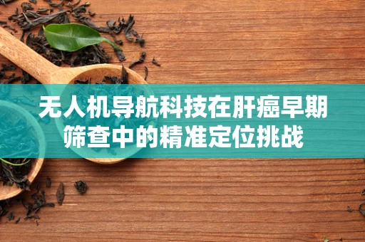 无人机导航科技在肝癌早期筛查中的精准定位挑战