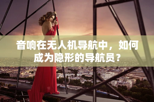 音响在无人机导航中，如何成为隐形的导航员？