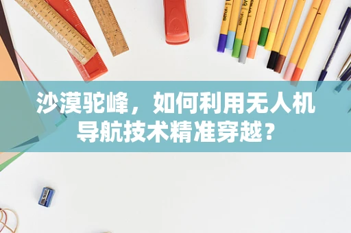 沙漠驼峰，如何利用无人机导航技术精准穿越？