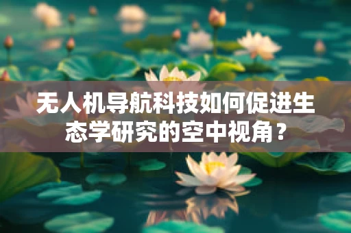 无人机导航科技如何促进生态学研究的空中视角？