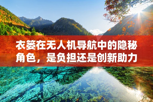 衣篓在无人机导航中的隐秘角色，是负担还是创新助力？
