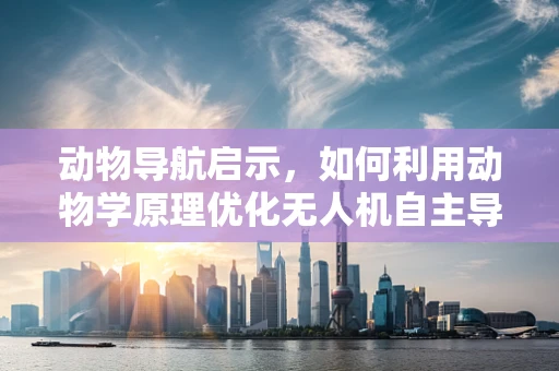 动物导航启示，如何利用动物学原理优化无人机自主导航？